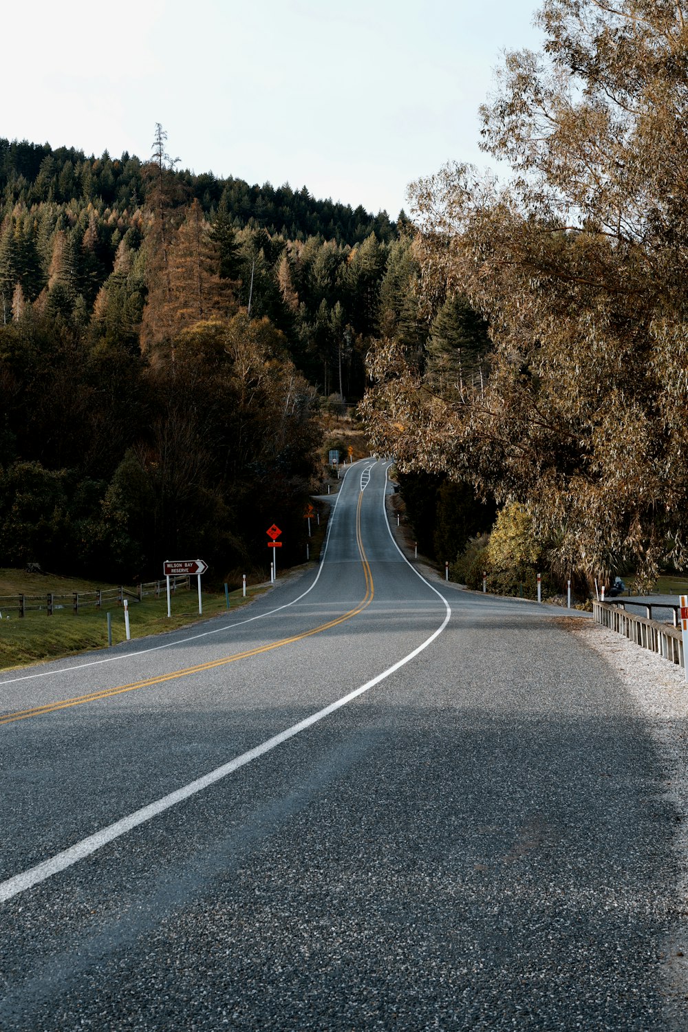 an empty road with trees on both sides