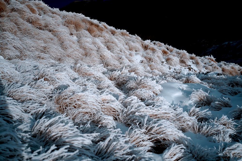 a snow covered hillside with a dark sky in the background