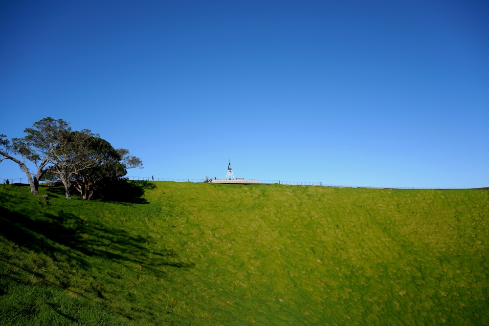 a grassy hill with a tree on top of it