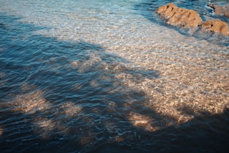 Close-up of sand washing process with water treatment chemicals visibly clarifying the water.