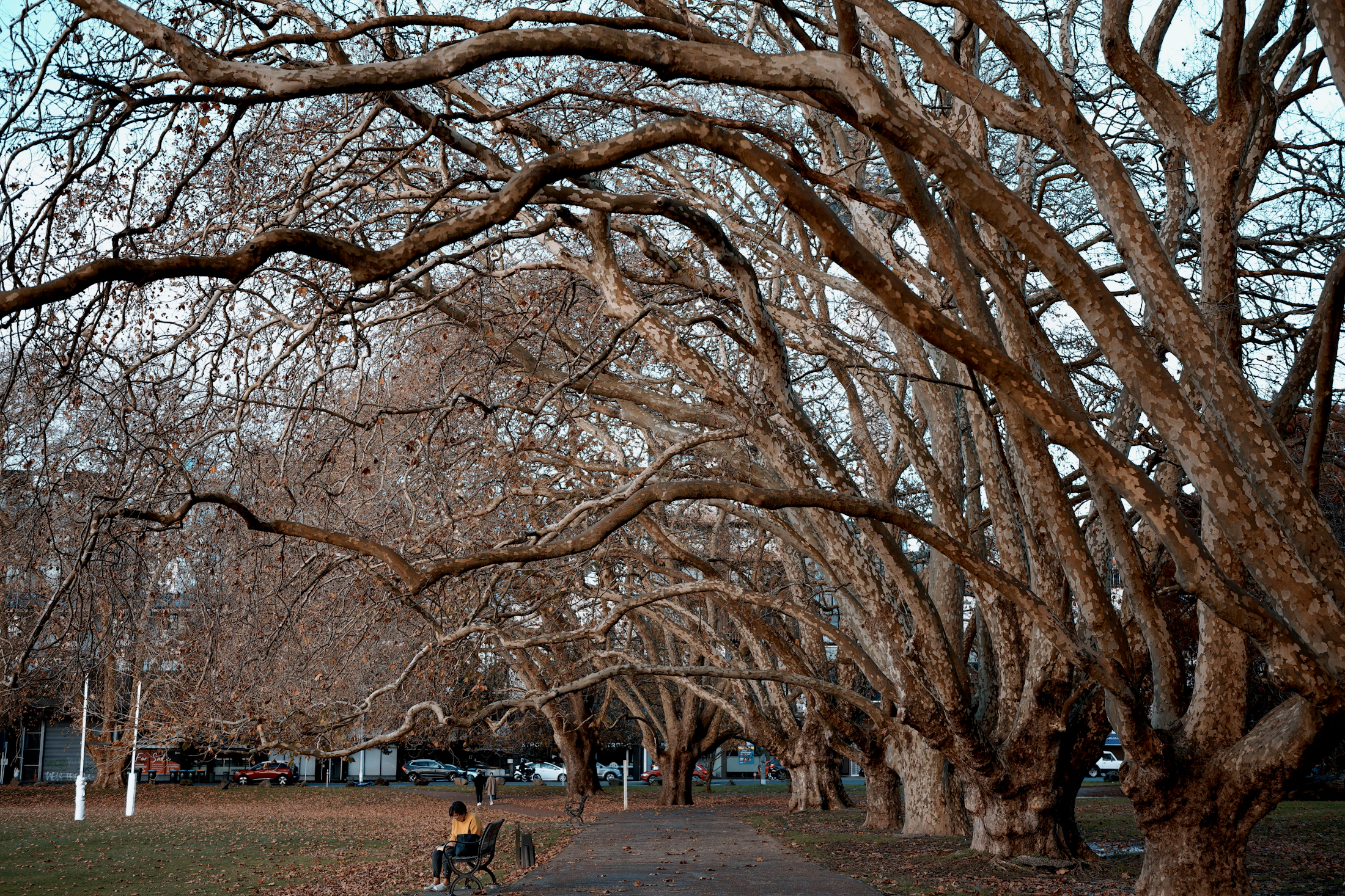 Photo · K Soma / Unsplash