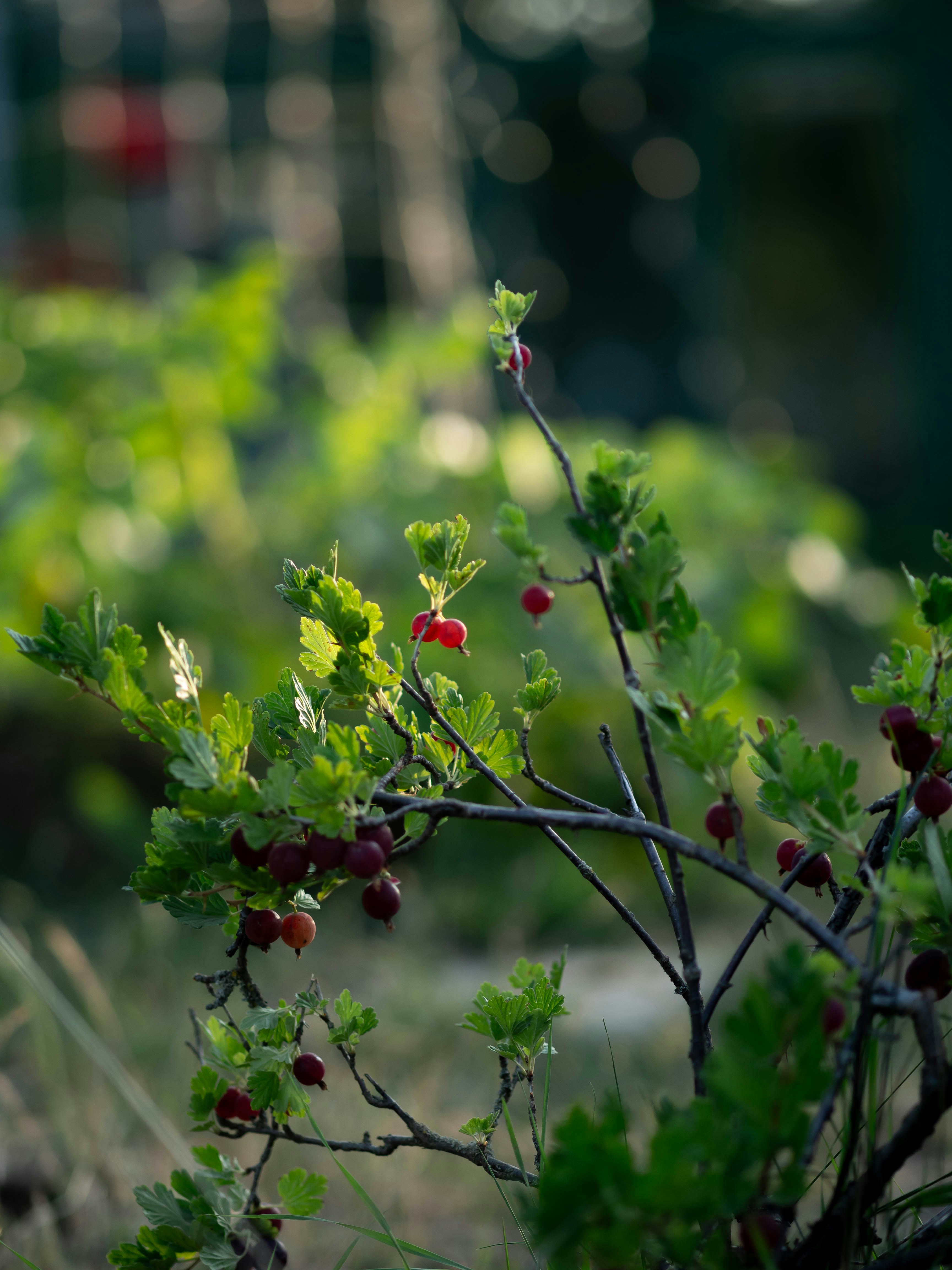 Photo by eileen_kummer