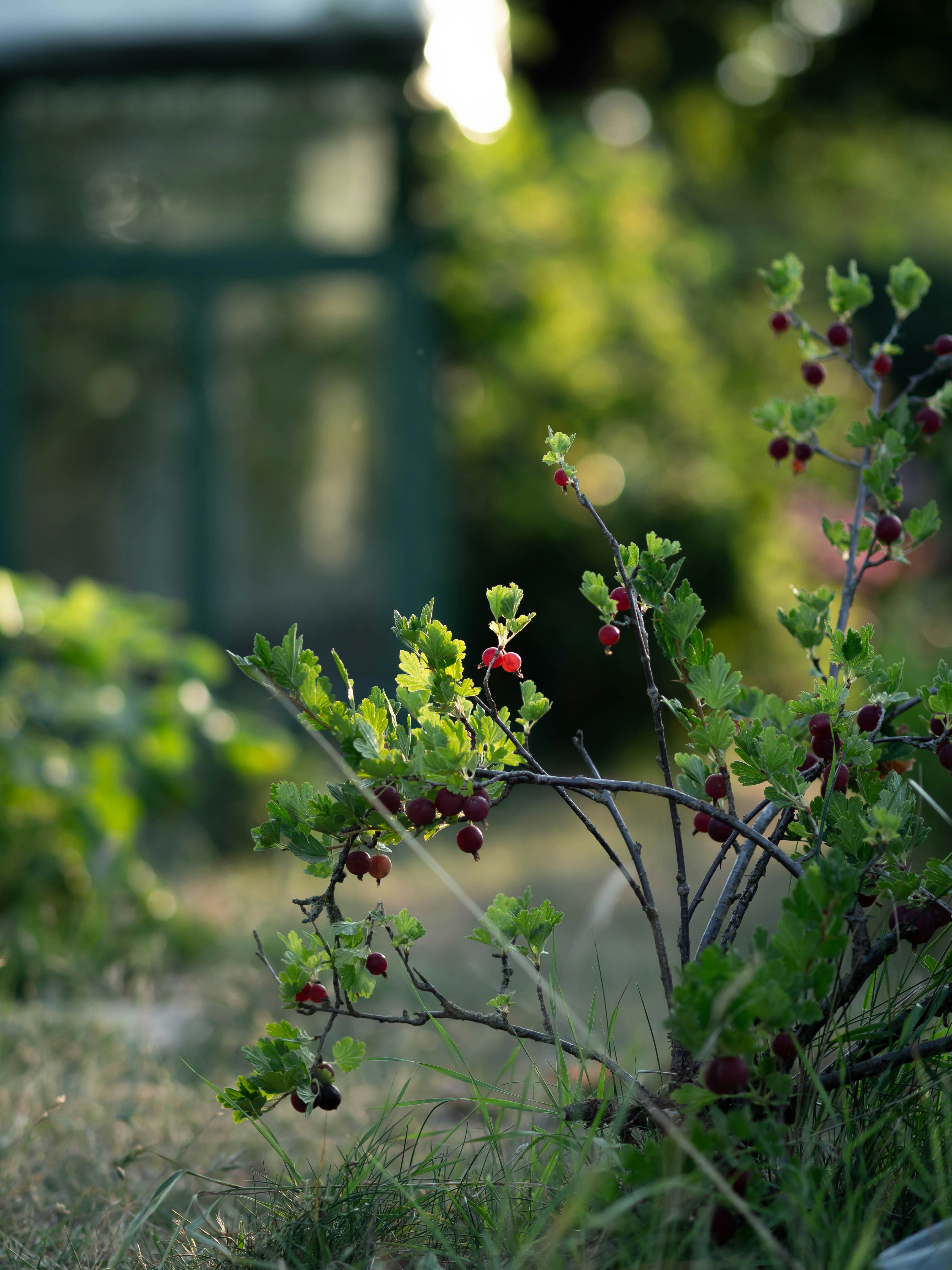 Photo by eileen_kummer