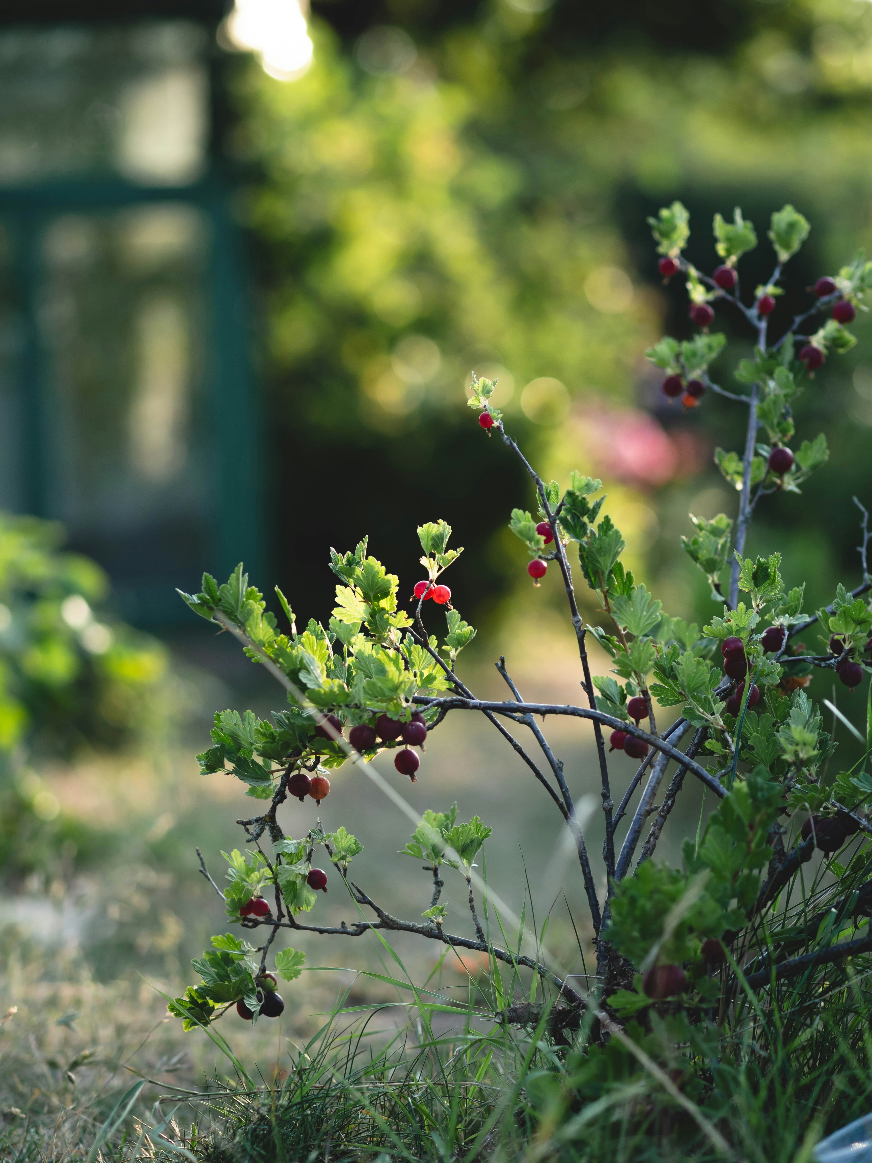 Photo by eileen_kummer