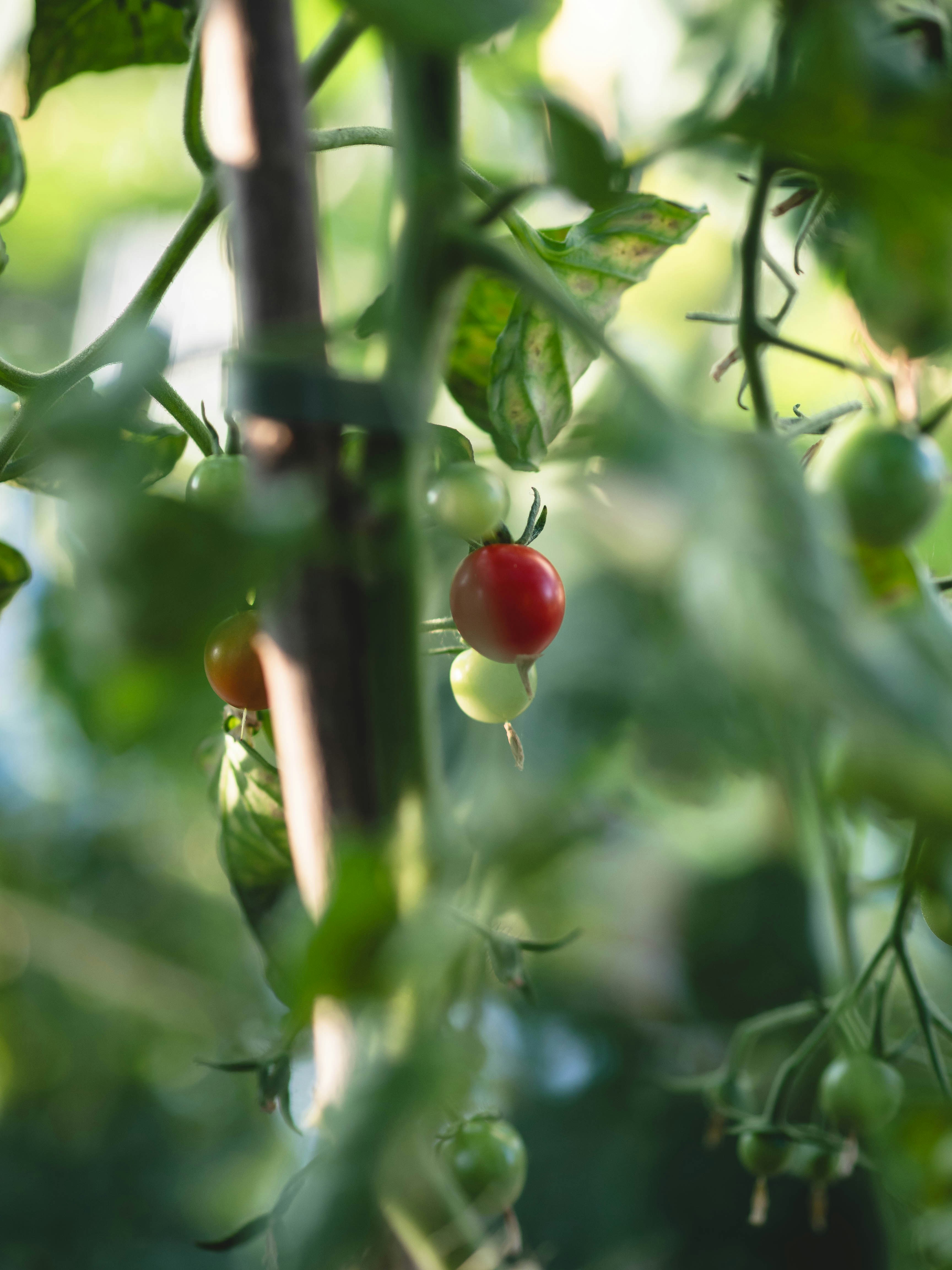 Photo by eileen_kummer