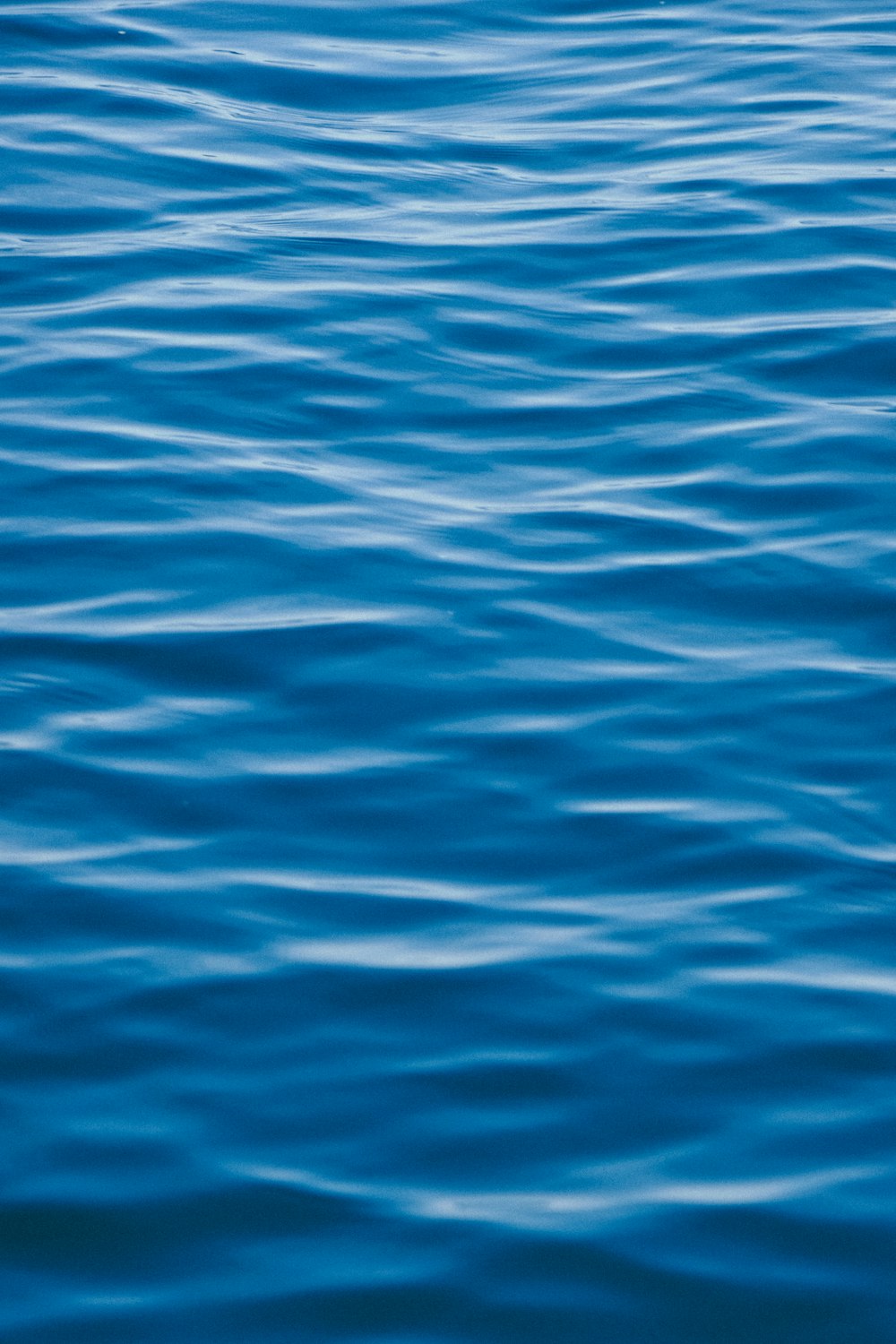 a large body of water with a boat in the distance