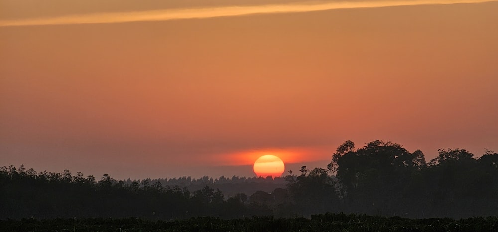 the sun is setting over the trees in the distance