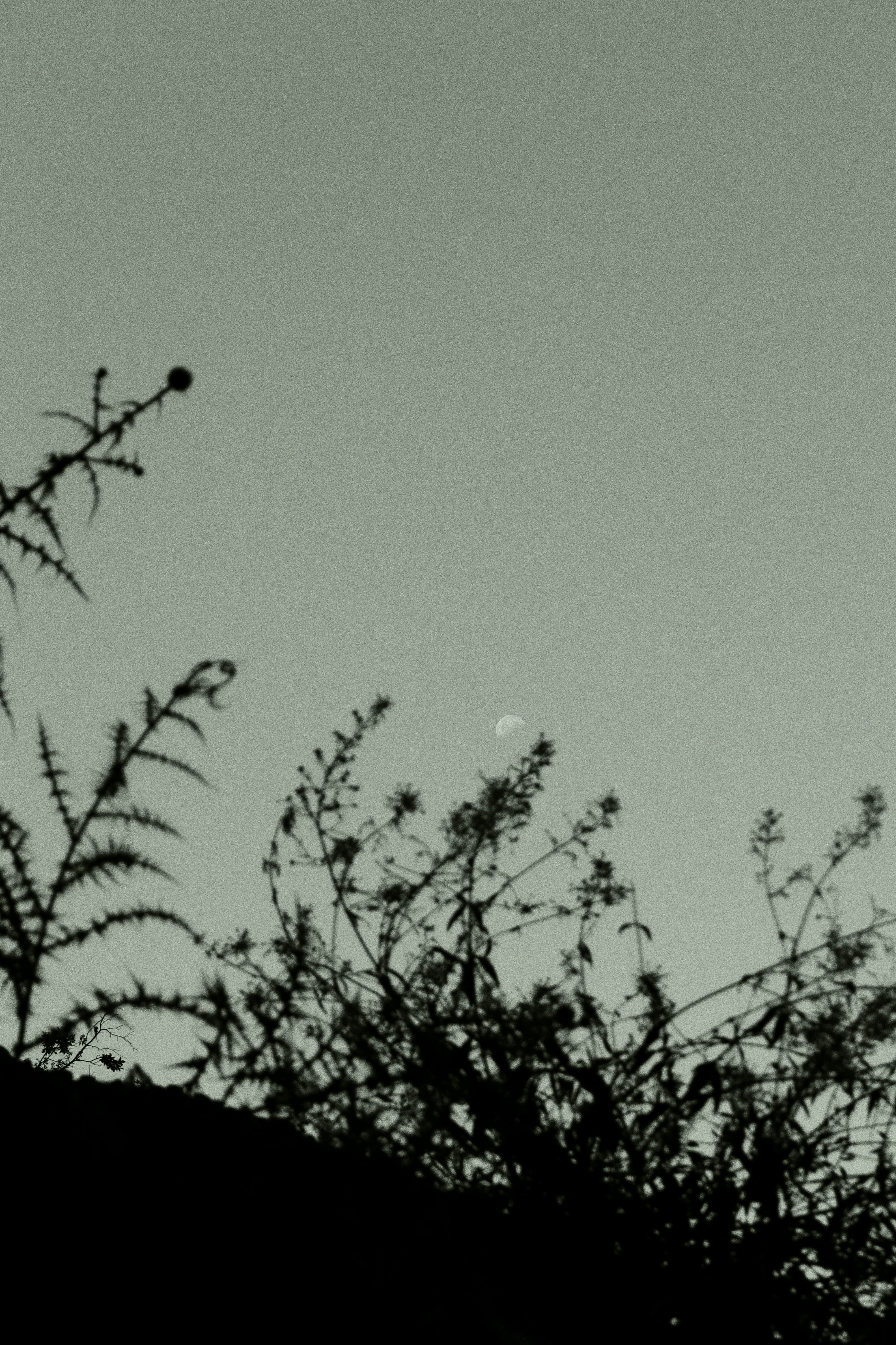 Photo by sweatyhands