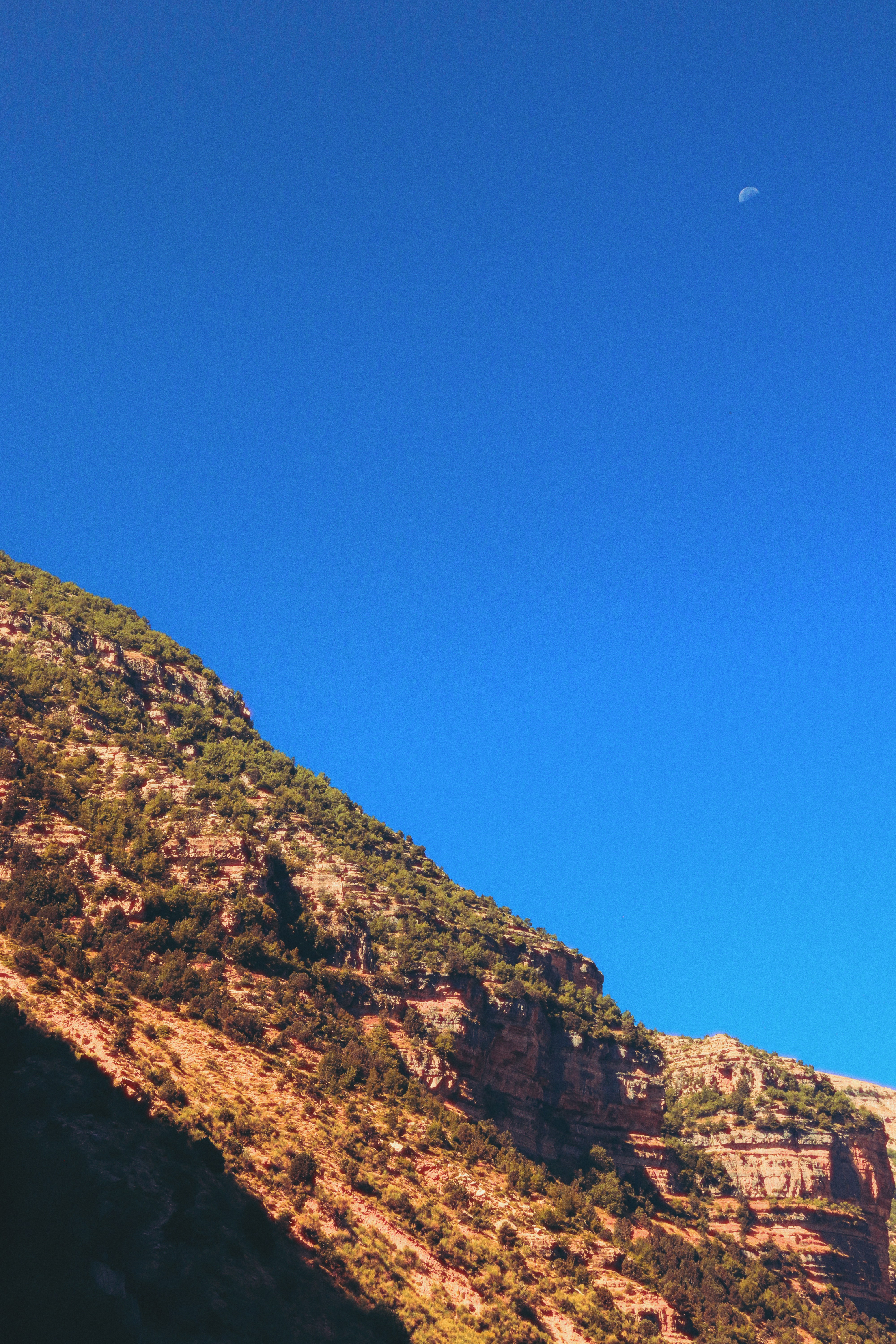 Photo by sweatyhands