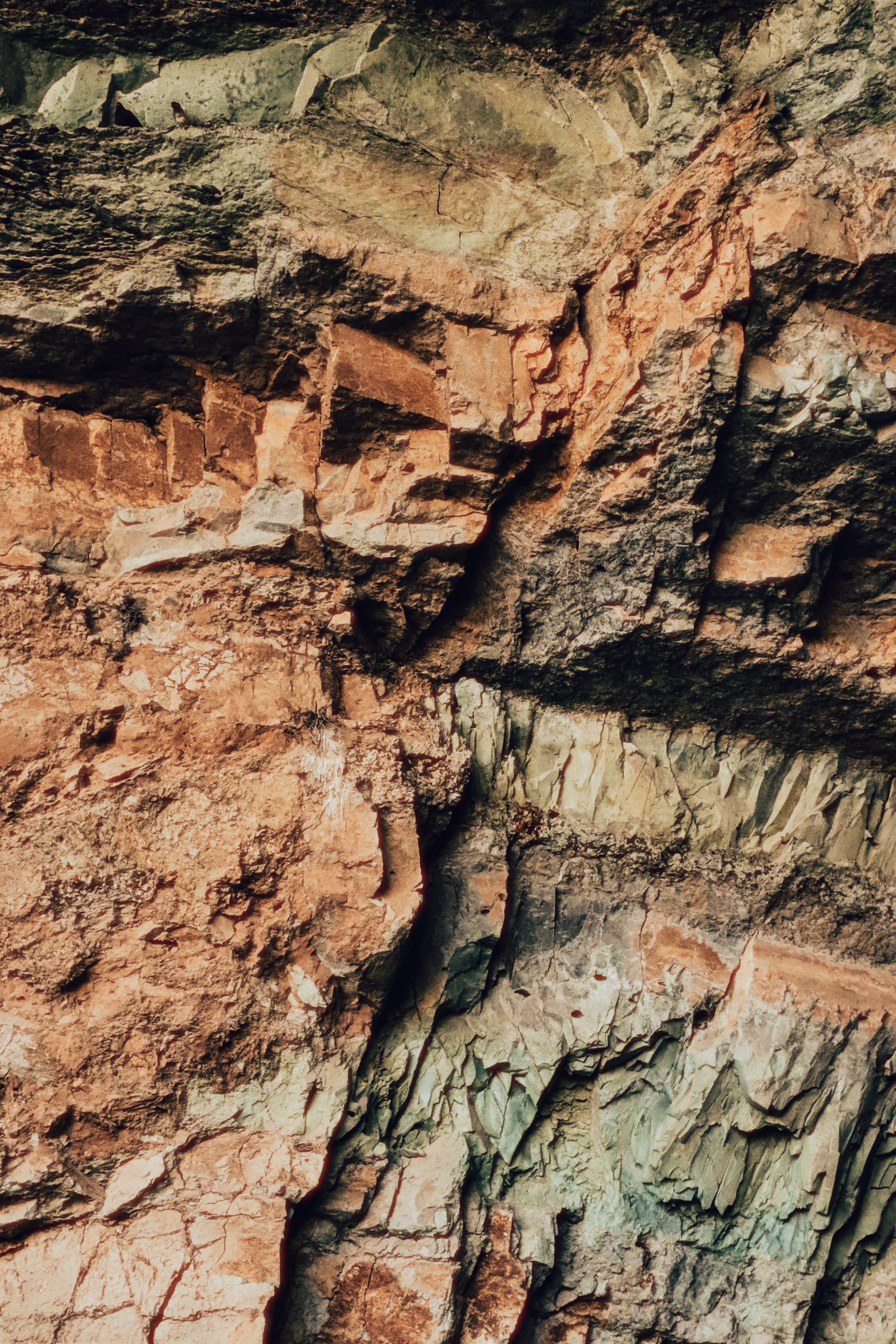 Photo by sweatyhands