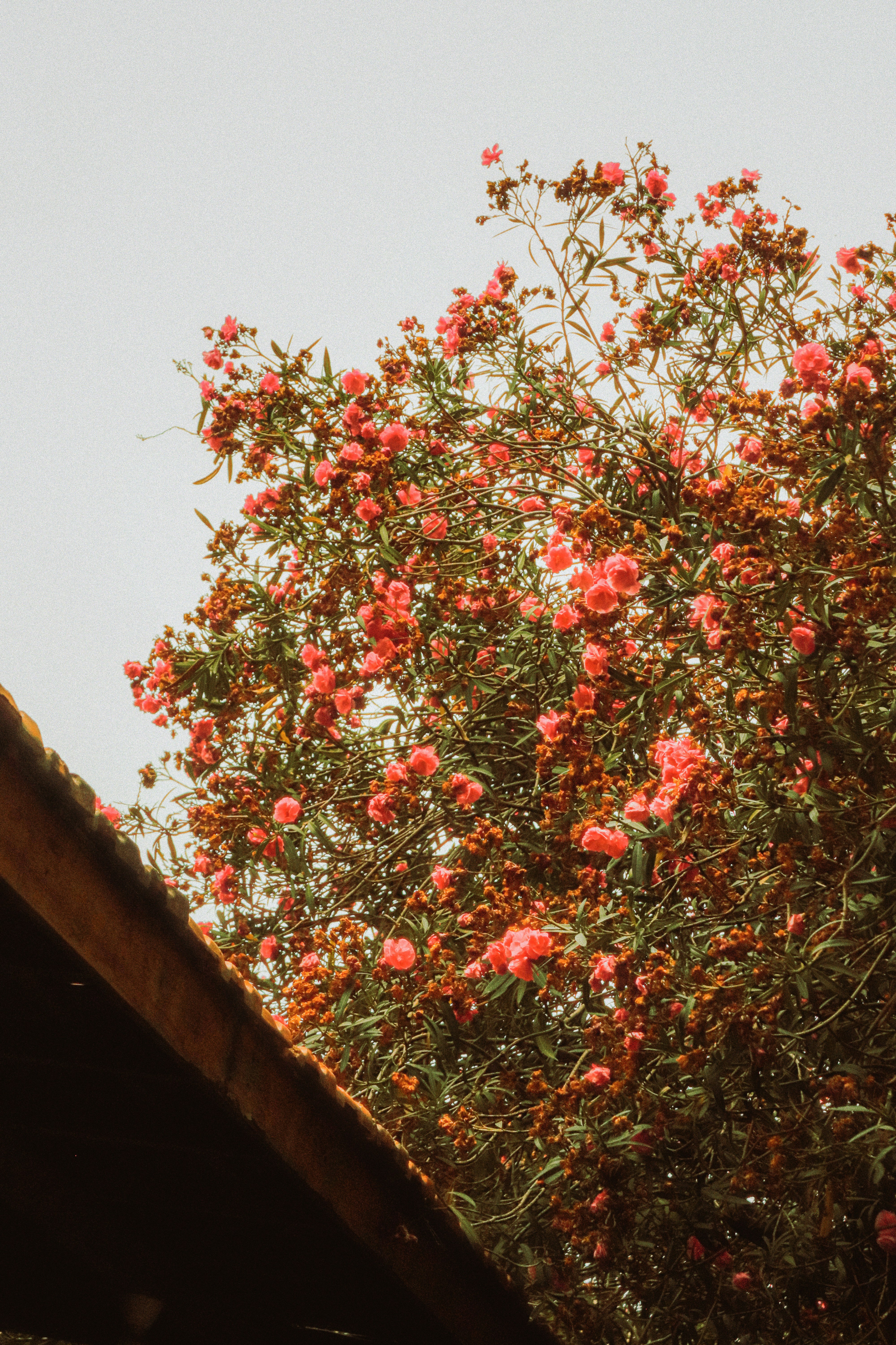 Photo by sweatyhands