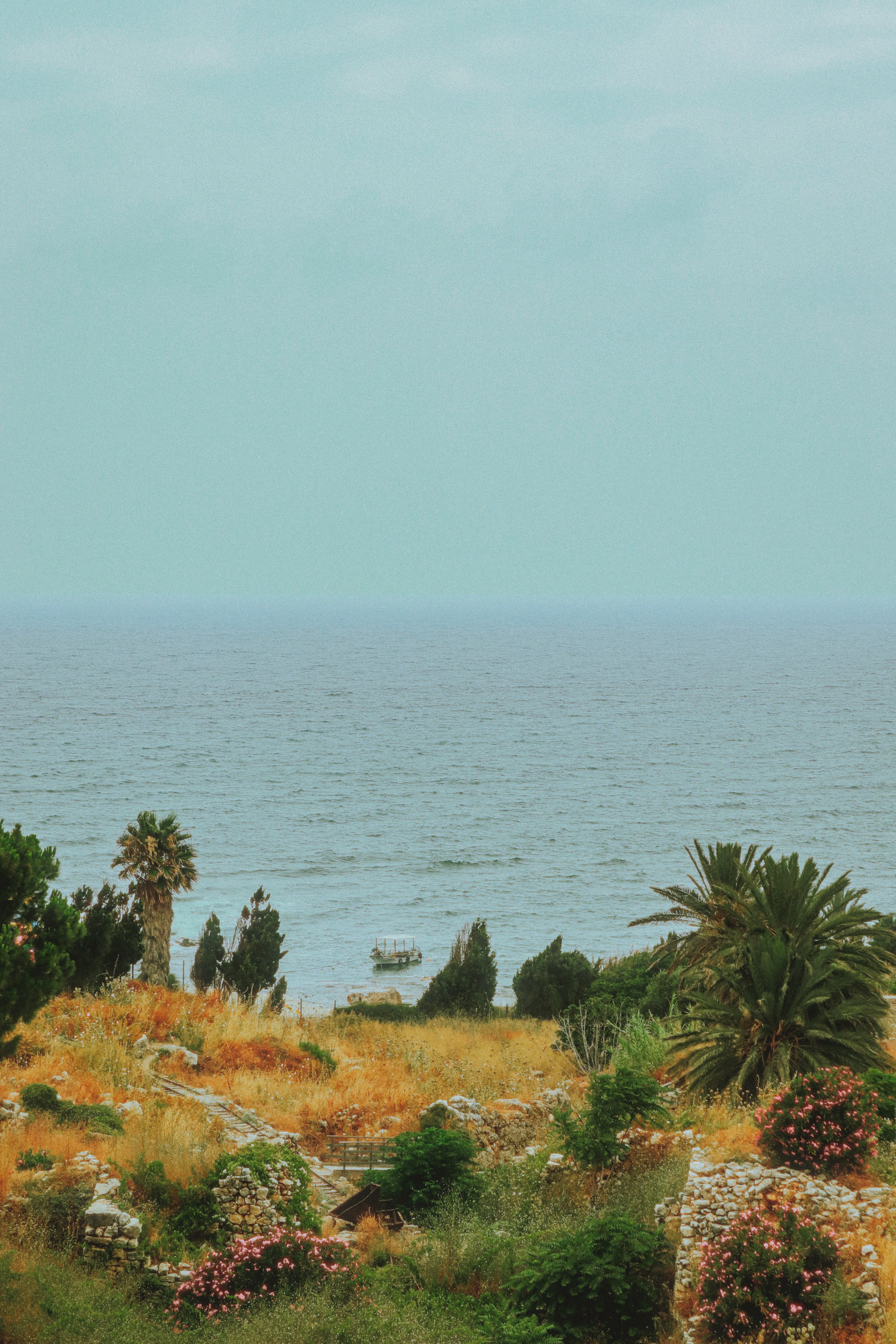 Photo by sweatyhands