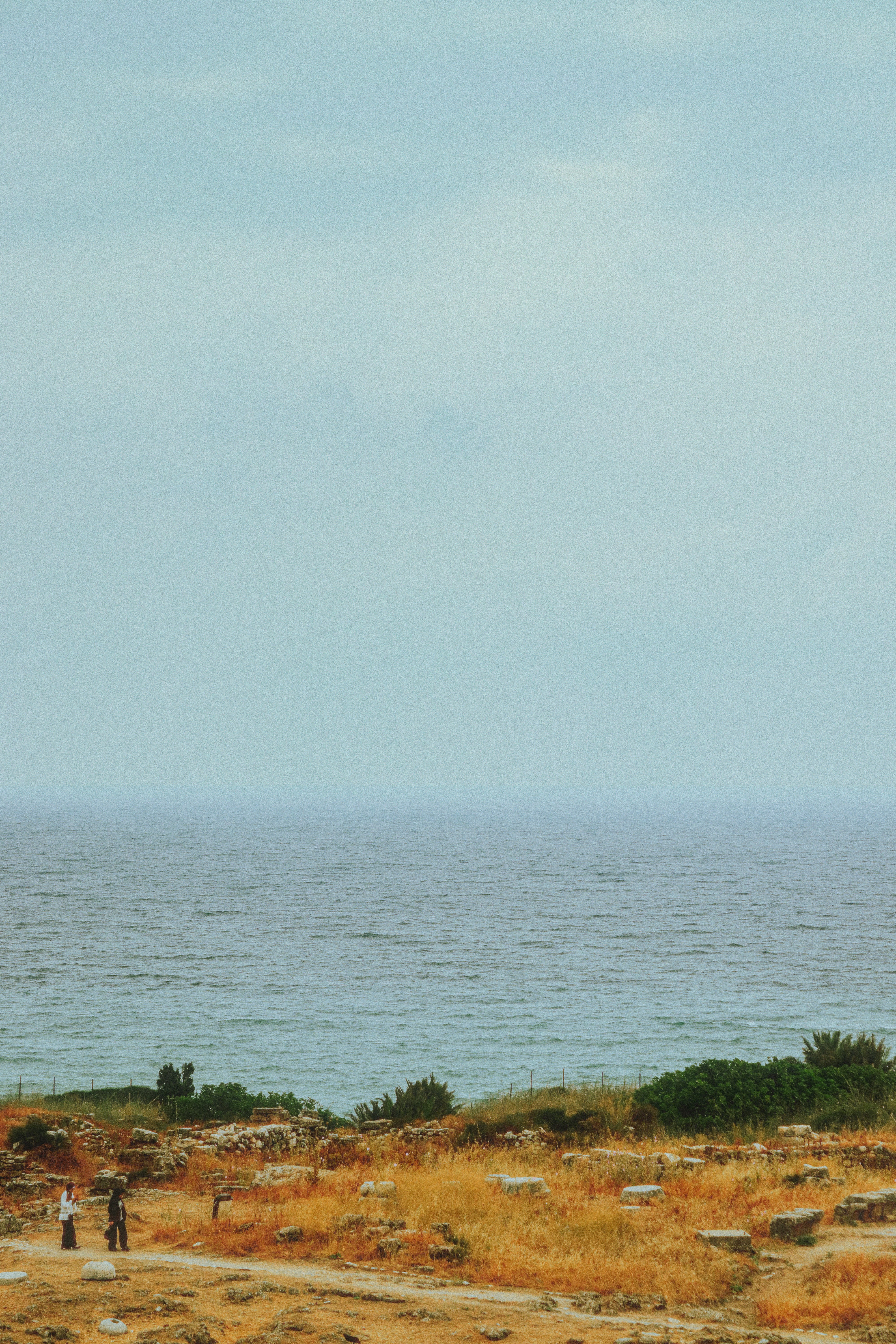 Photo by sweatyhands