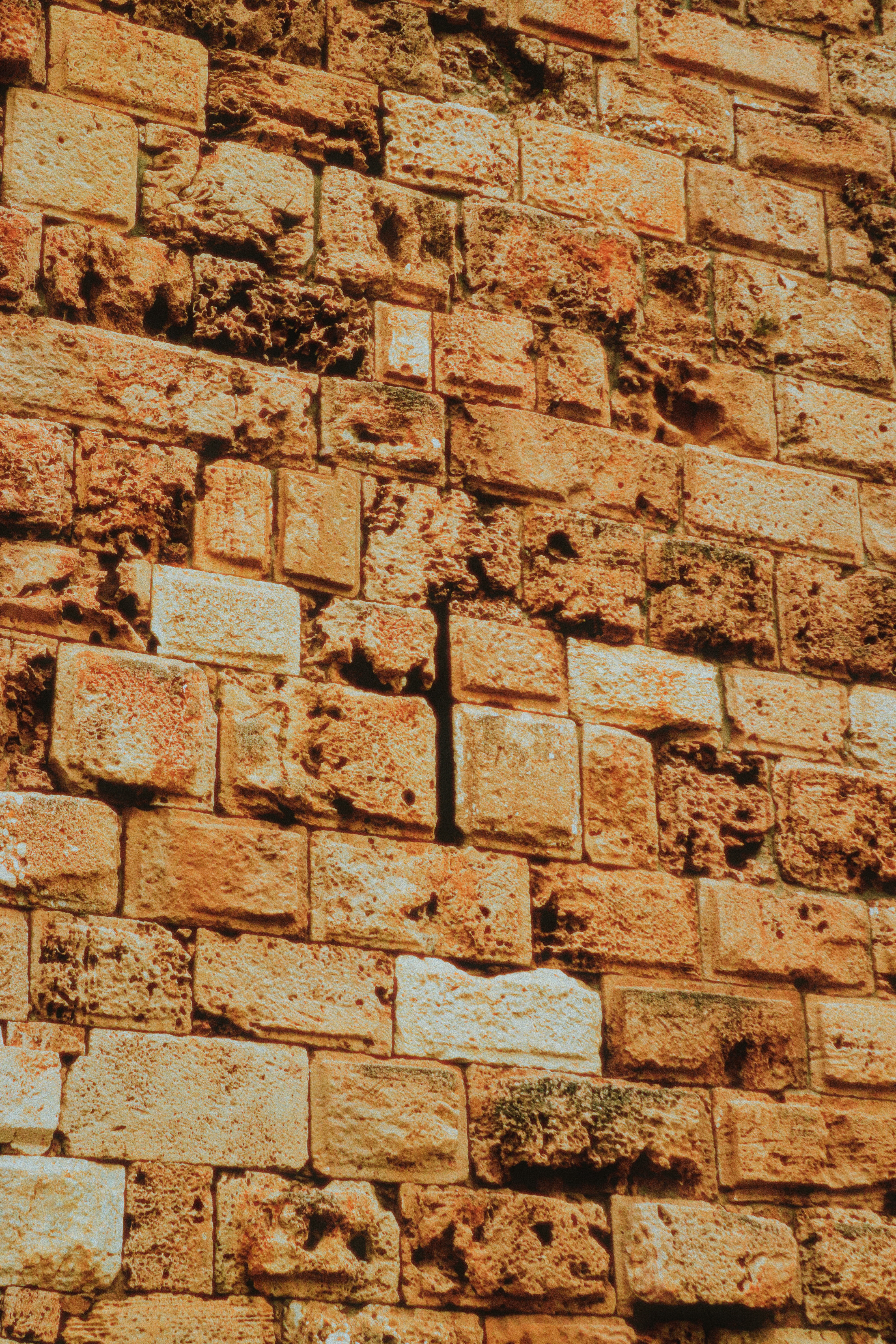 Photo by sweatyhands