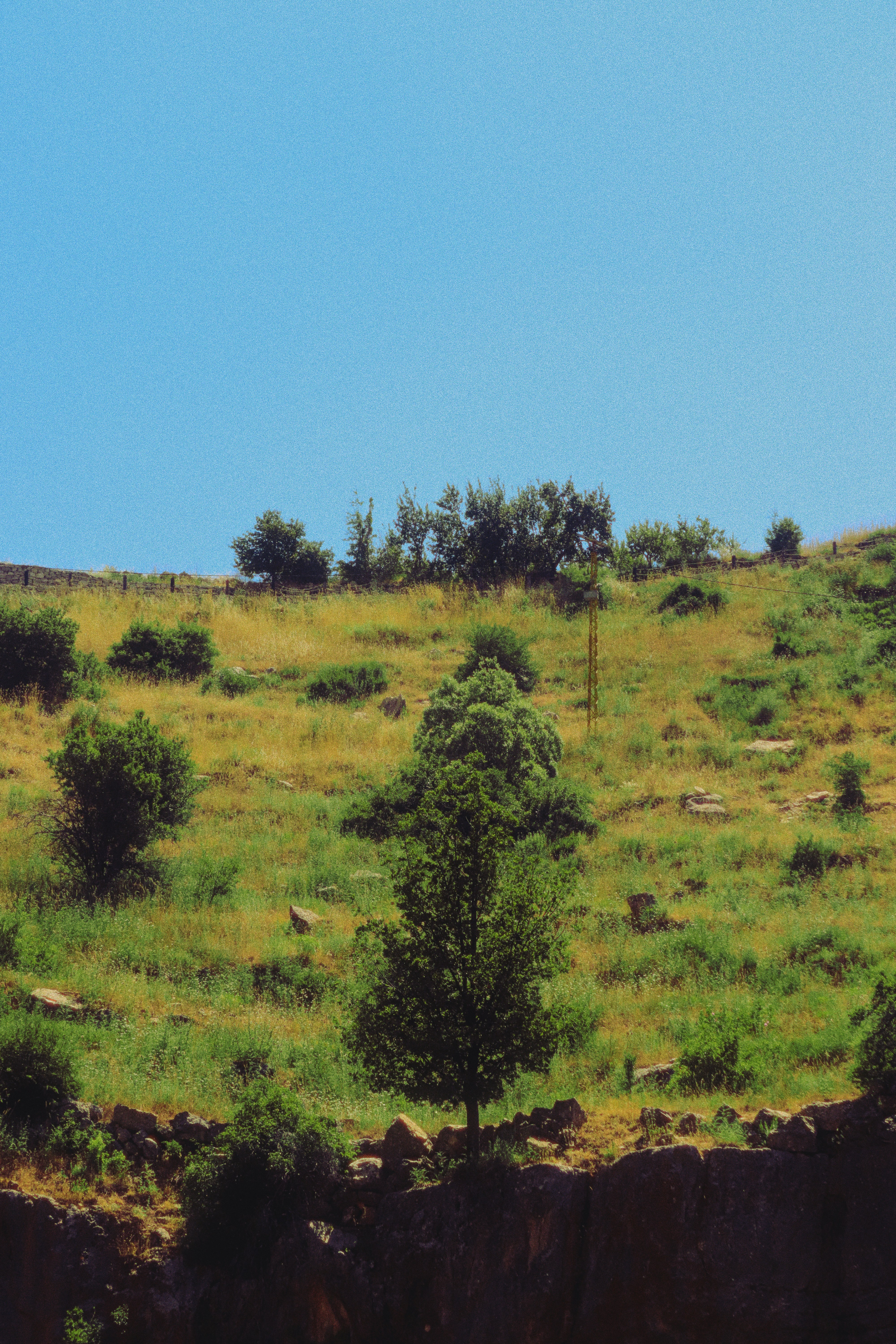 Photo by sweatyhands