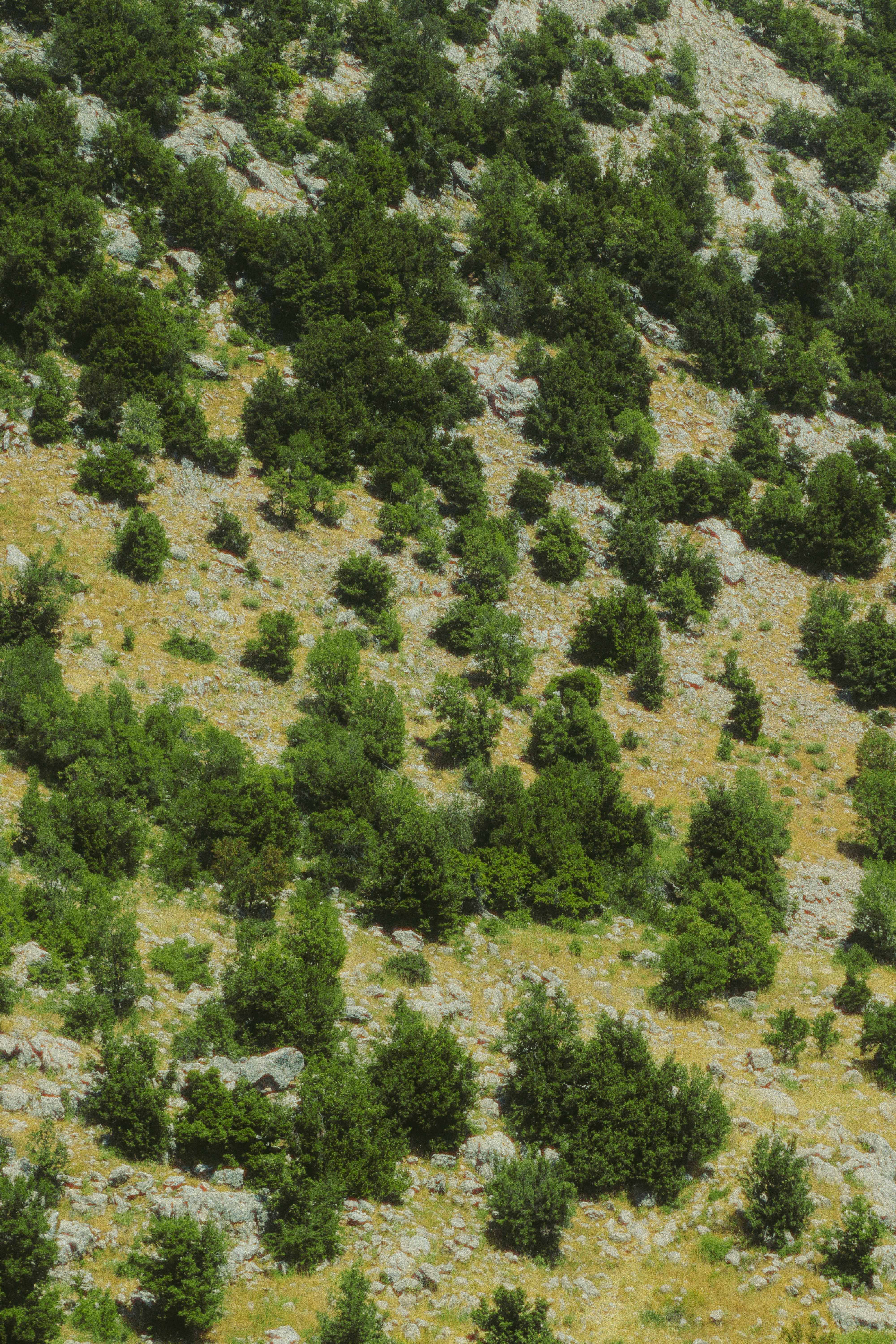 Photo by sweatyhands