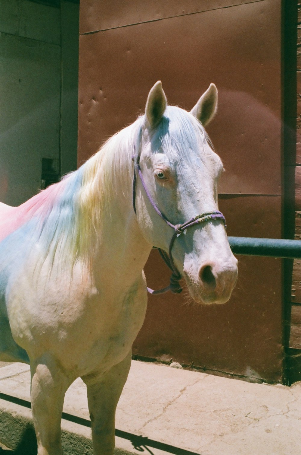 a white horse standing next to a building