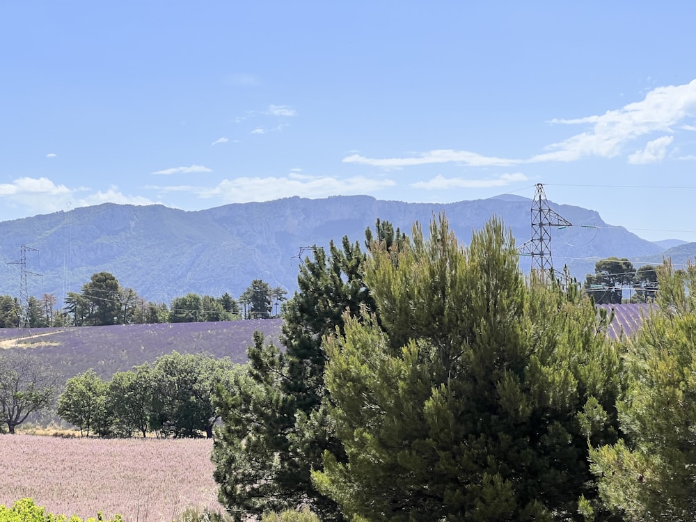 a view of a mountain range with a telephone pole in the foreground