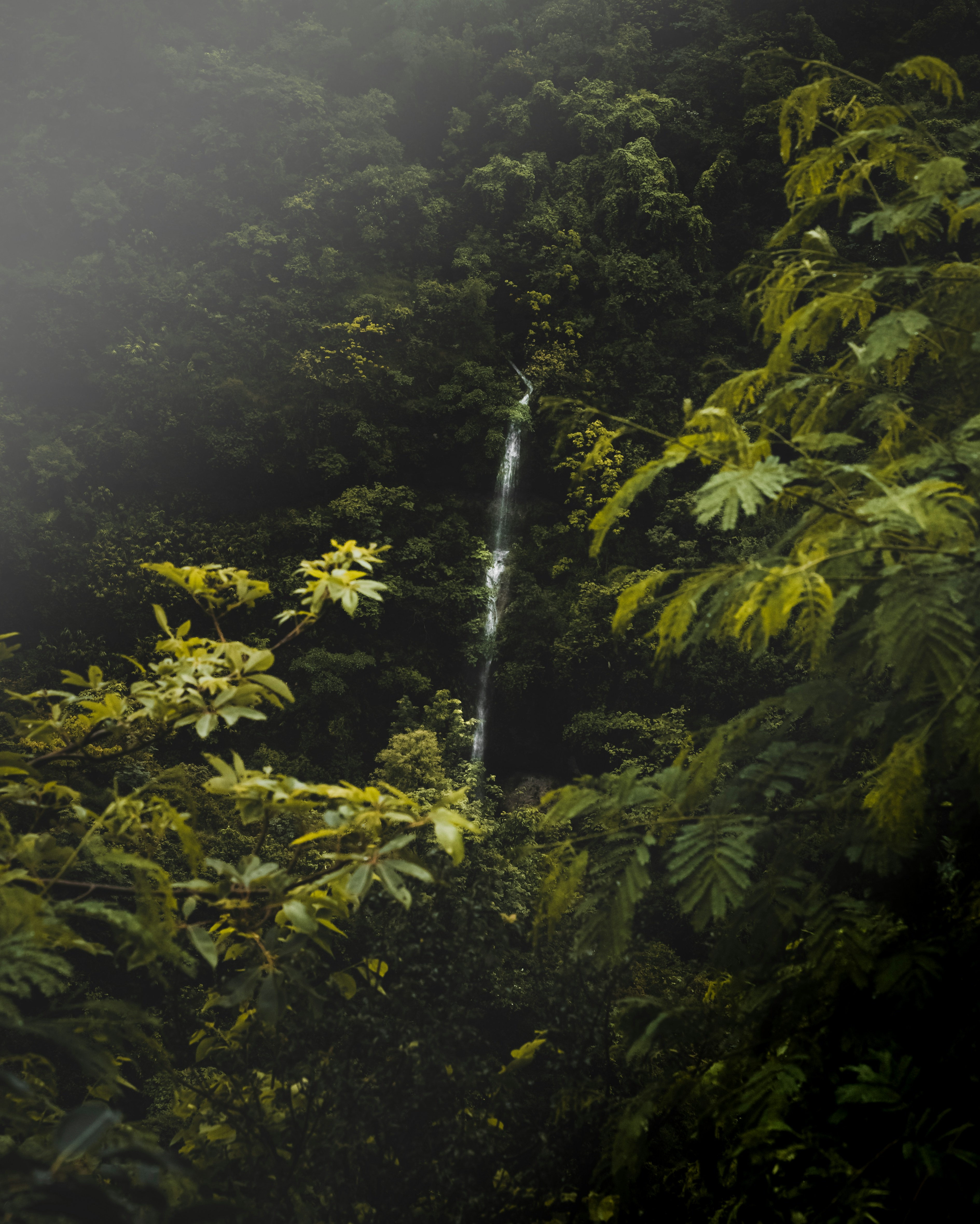 Photo by itsarvindhere