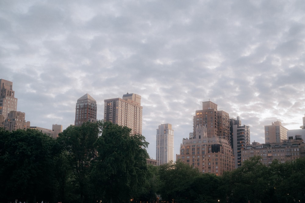 a view of a city skyline from a park