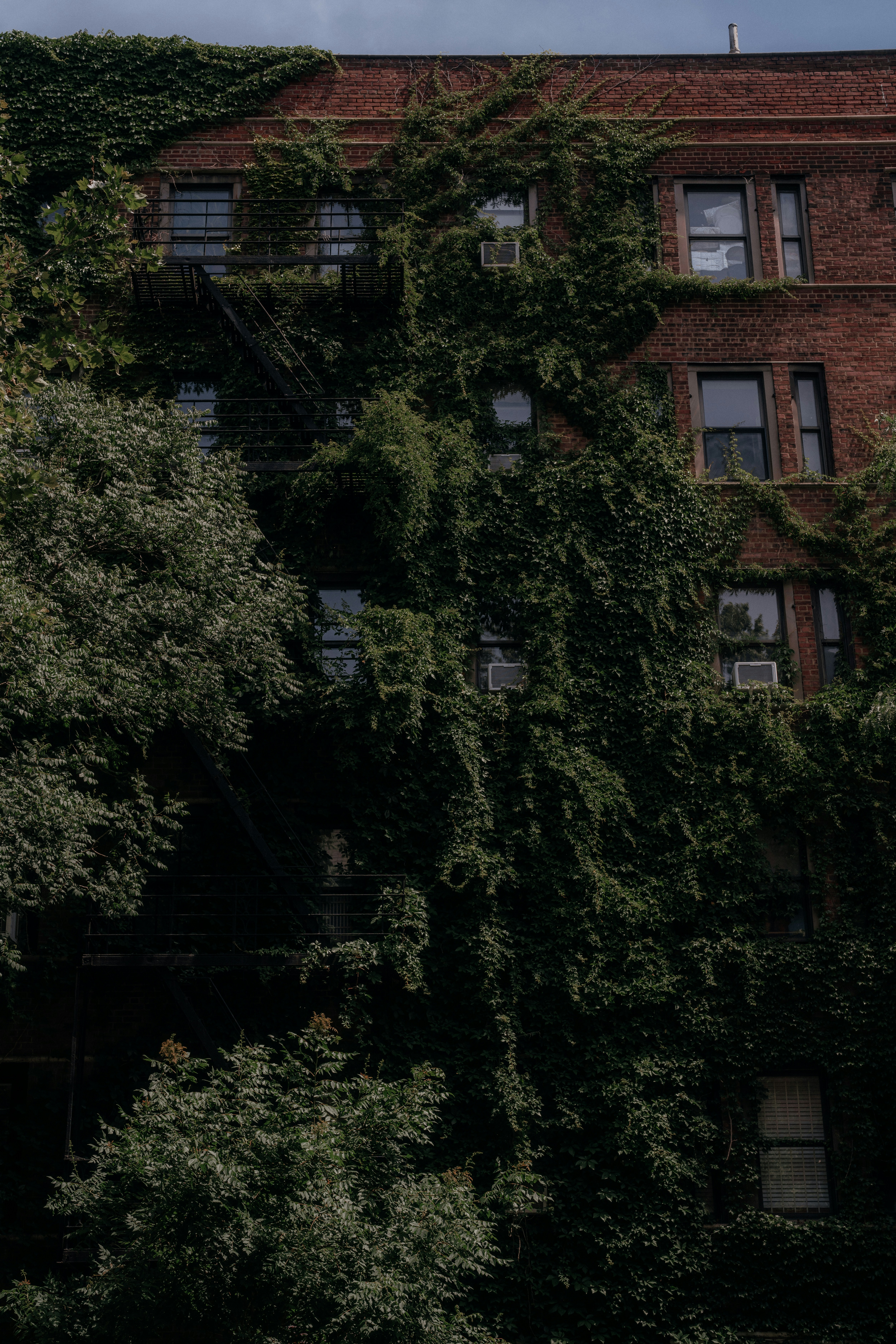 Photo by bettertogether_co