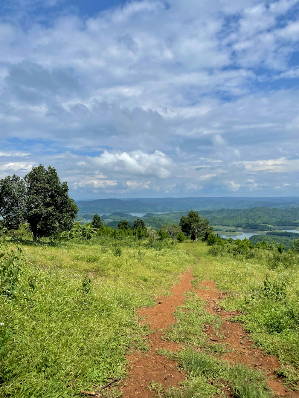 a dirt road going through a lush green field