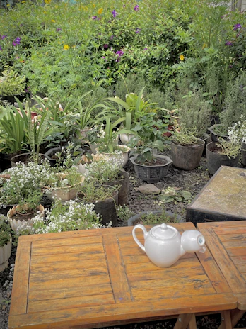 A vibrant garden workshop in progress with adults planting herbs and sipping tea.