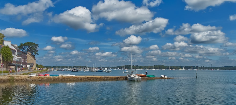 a body of water filled with lots of boats