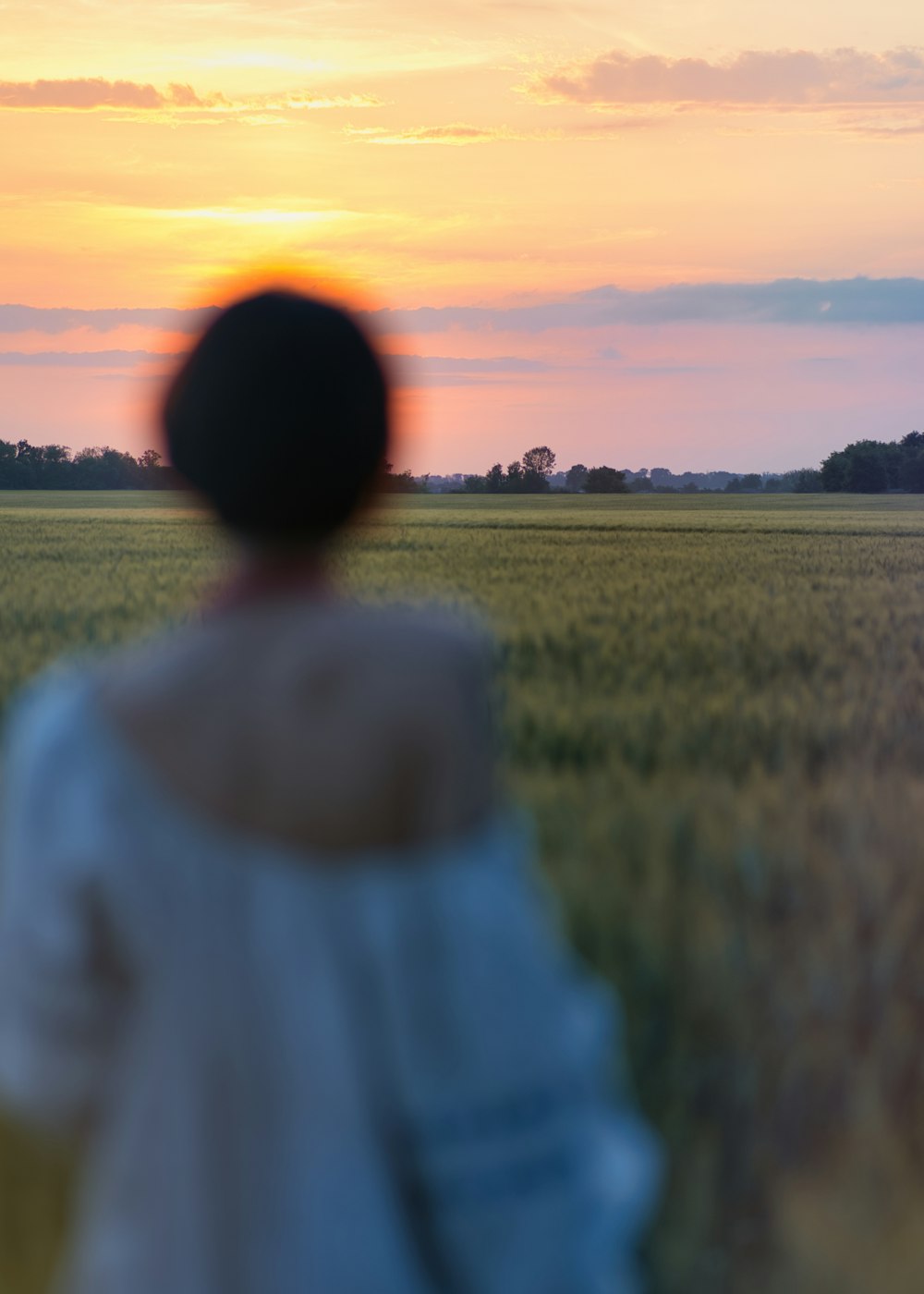 a person standing in a field watching the sun set