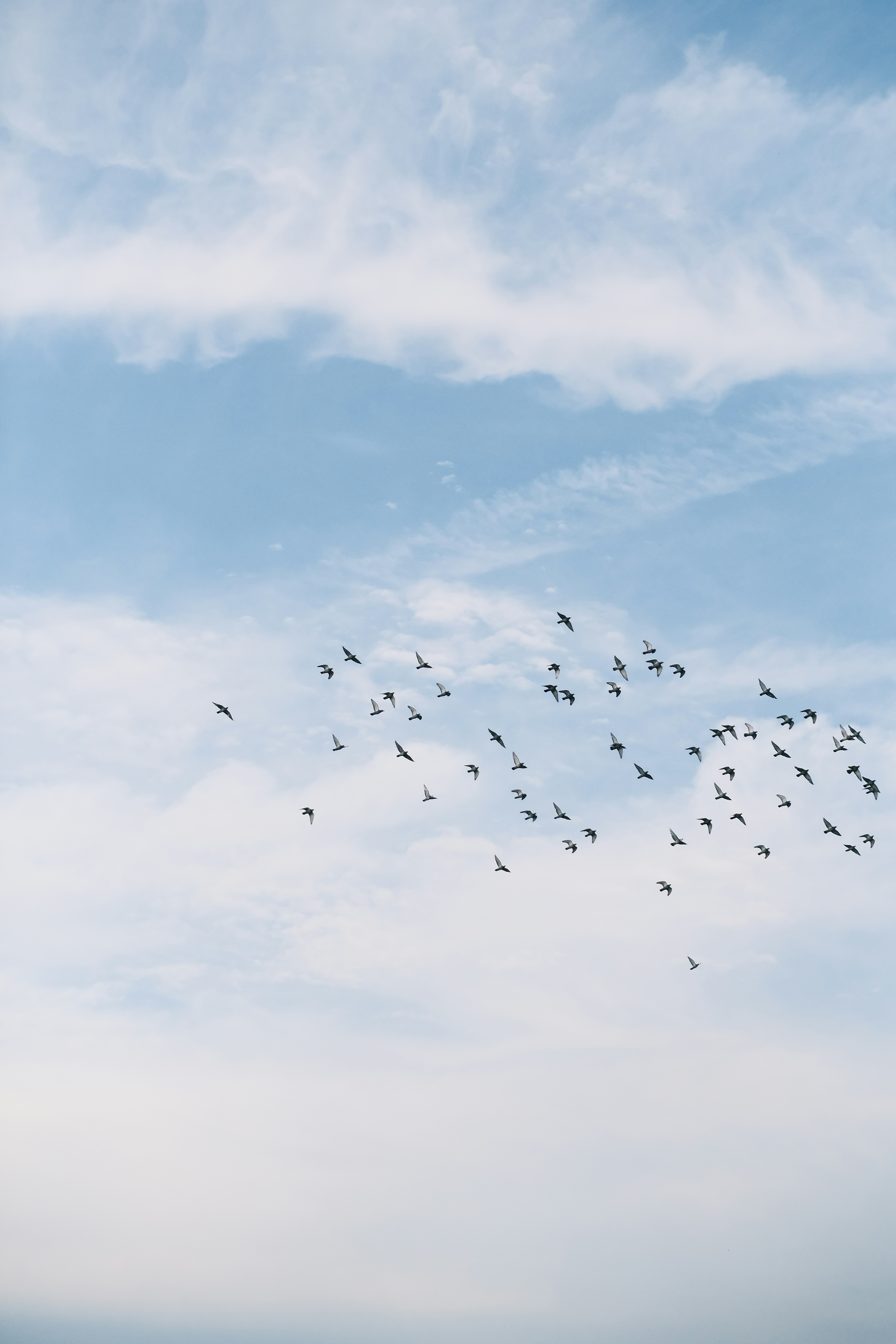 Photo by maycloudbackup