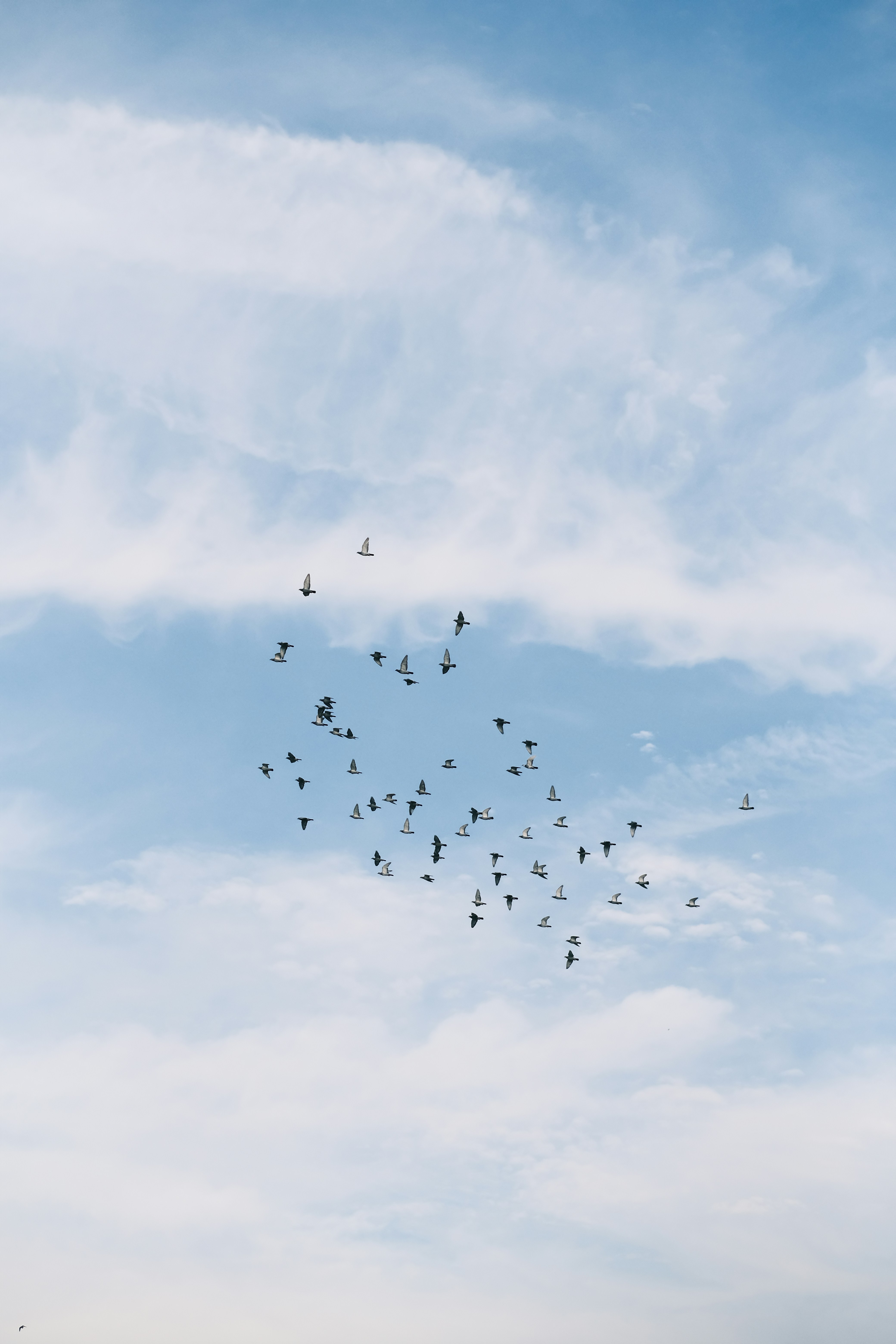 Photo by maycloudbackup