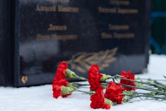 Red carnations lie on a layer of snow in front of a dark memorial plaque with engraved names, symbolizing remembrance and mourning.