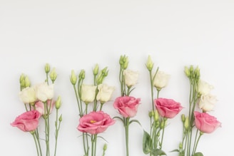 A variety of artificial flower stems displayed against a soft background.