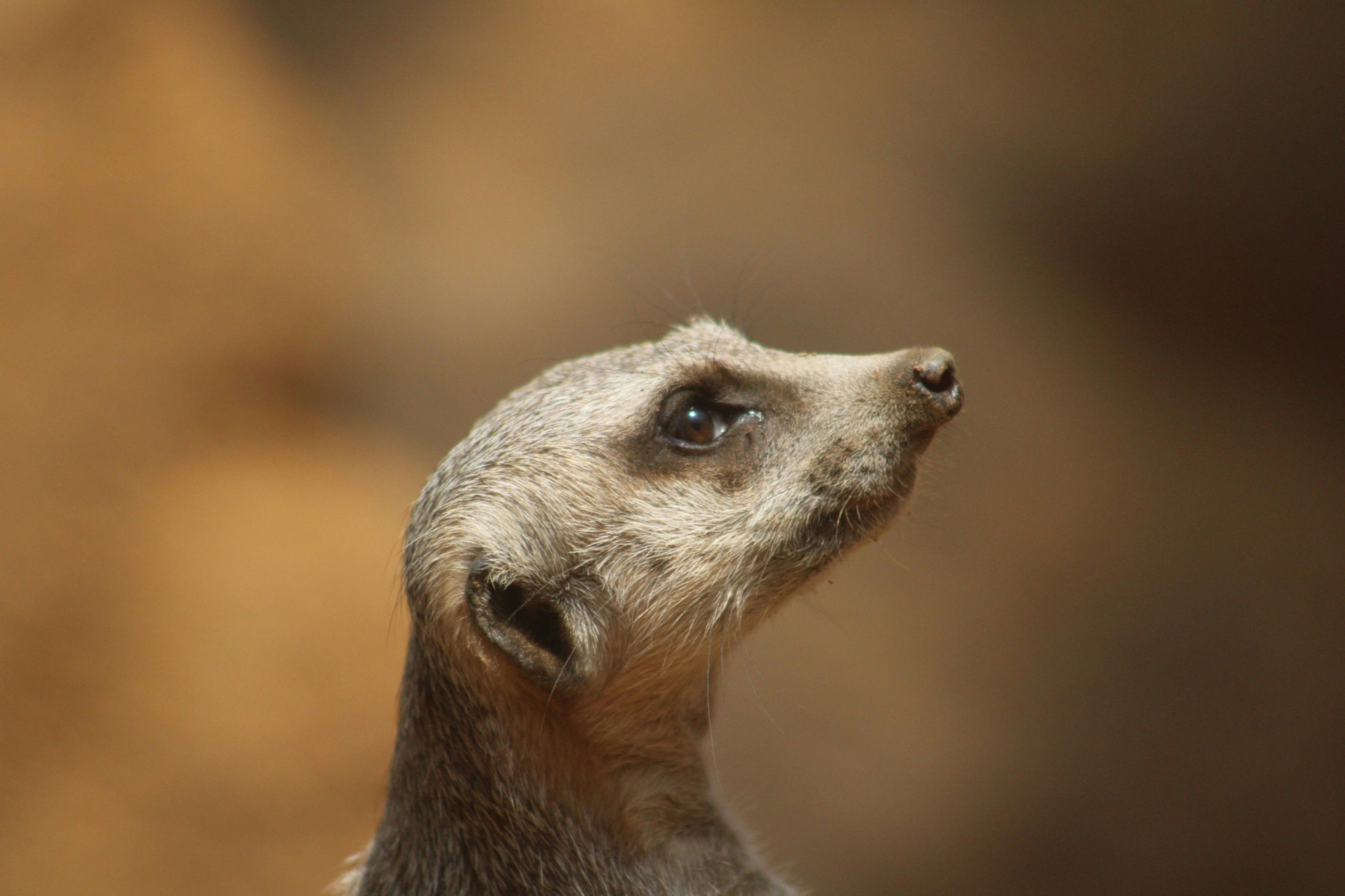 Photo by curriedflute