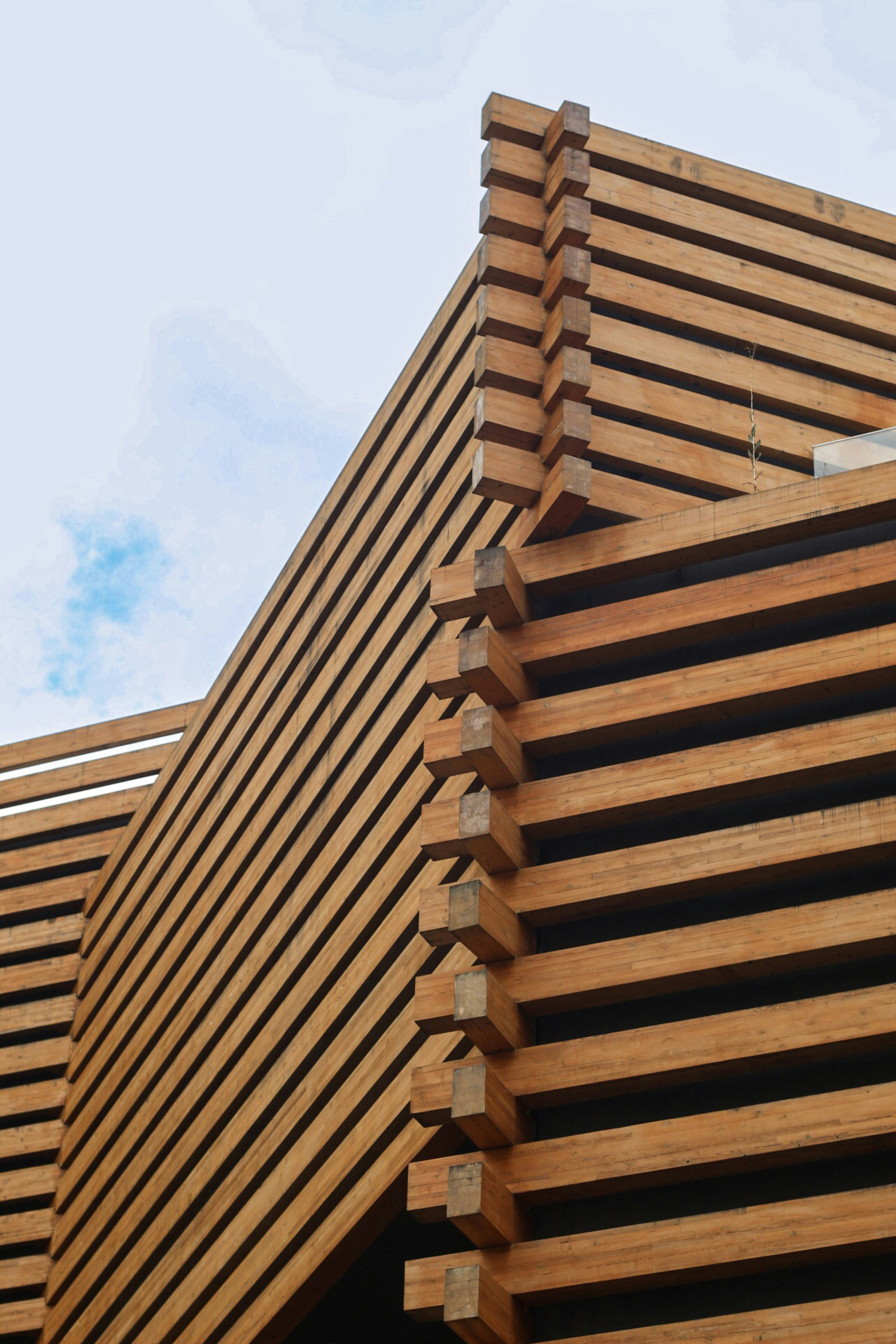 Photo by esrakorkmaz