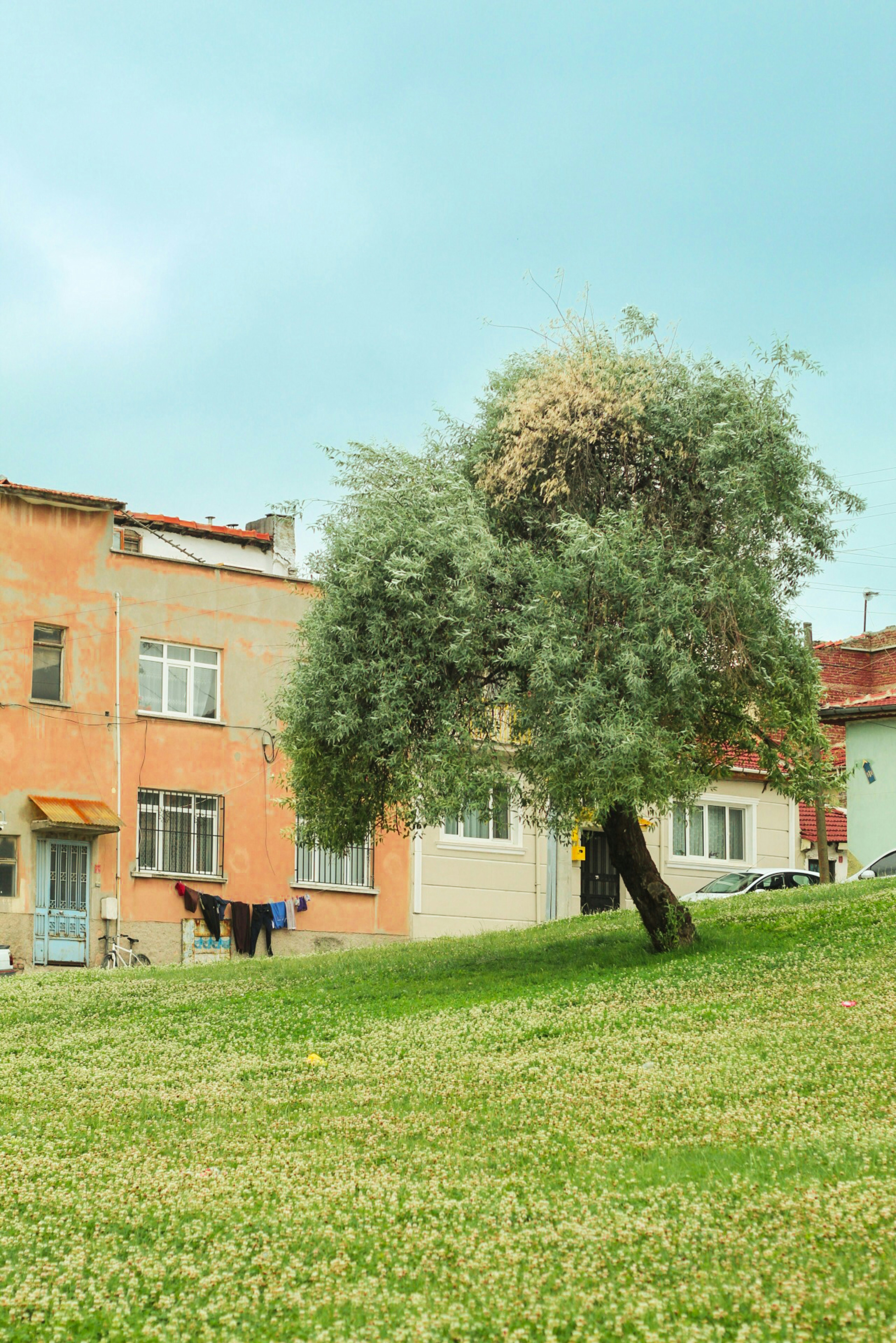 Photo by esrakorkmaz