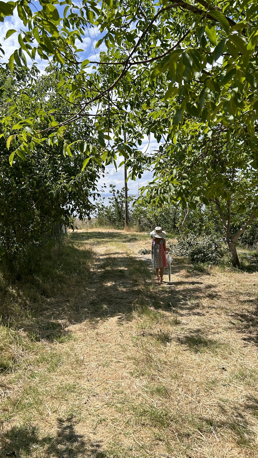 a woman walking through a forest with an umbrella