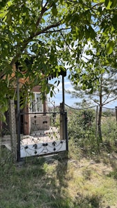 Rustic metal gate with intricate wrought iron details in a garden setting
