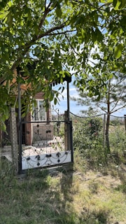 A rustic metal gate featuring intricate scrollwork stands amidst a verdant setting. The gate is attached to a fence with a lush garden on the other side. Surrounding the gate is abundant greenery, including a tree with broad leaves casting shadows on the ground. In the background, there's a glimpse of a building with a window. The scene is illuminated by natural sunlight, enhancing the colors around.
