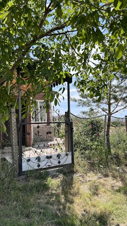 A rustic metal gate featuring intricate scrollwork stands amidst a verdant setting. The gate is attached to a fence with a lush garden on the other side. Surrounding the gate is abundant greenery, including a tree with broad leaves casting shadows on the ground. In the background, there's a glimpse of a building with a window. The scene is illuminated by natural sunlight, enhancing the colors around.