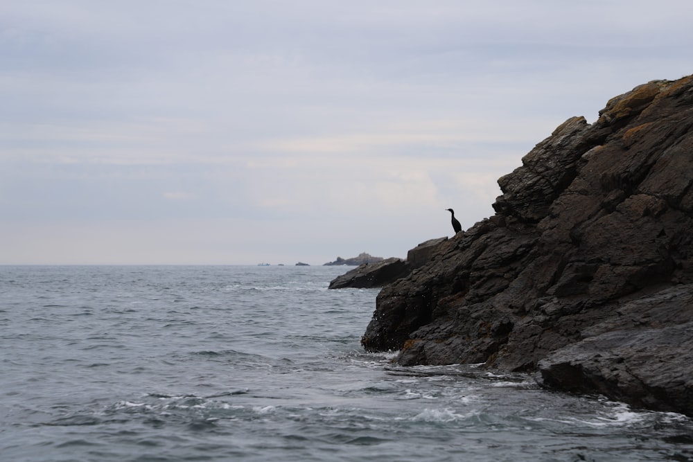 a person standing on a rock near the ocean