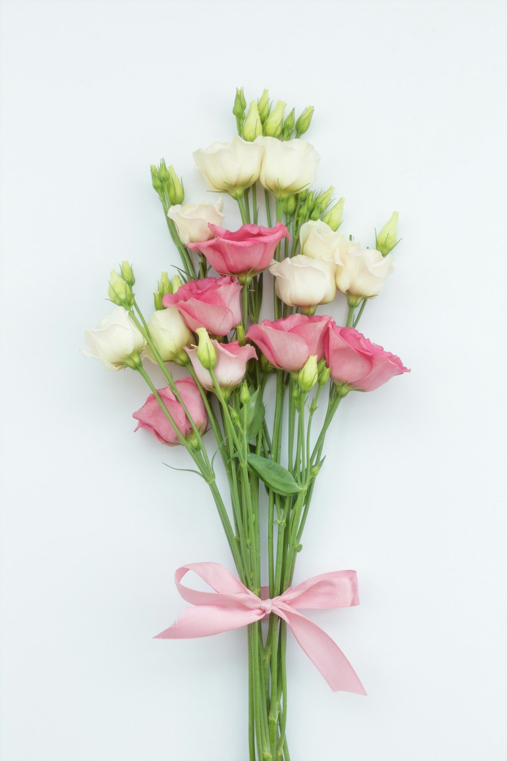 a bunch of pink and white flowers with a pink ribbon