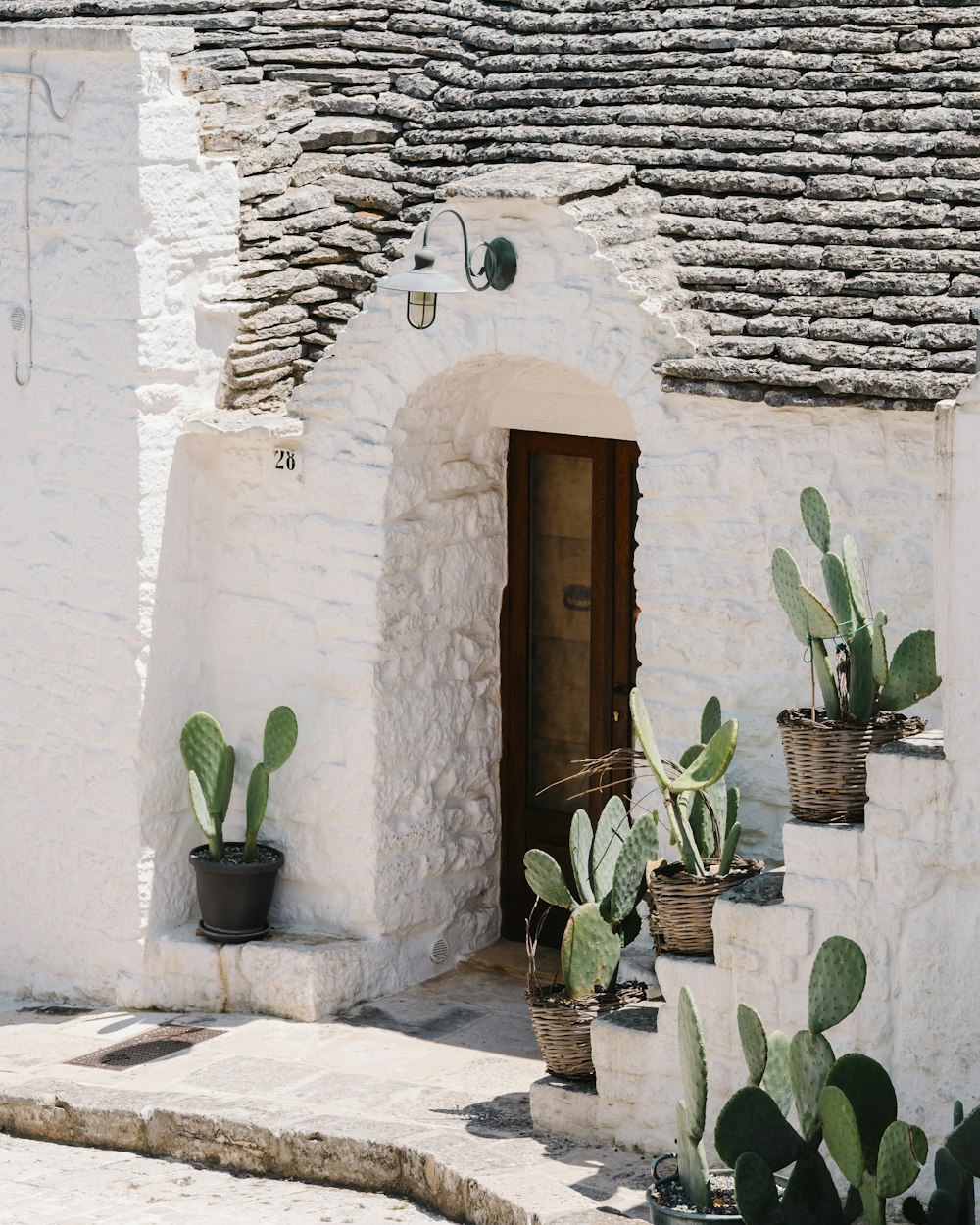 a house with a cactus in front of it