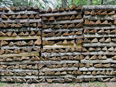 Stacked timber logs ready for export
