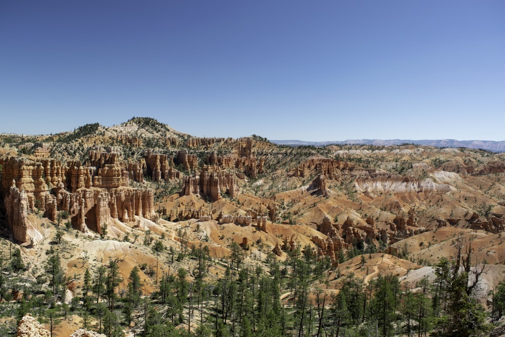 a scenic view of a mountain range with trees in the foreground