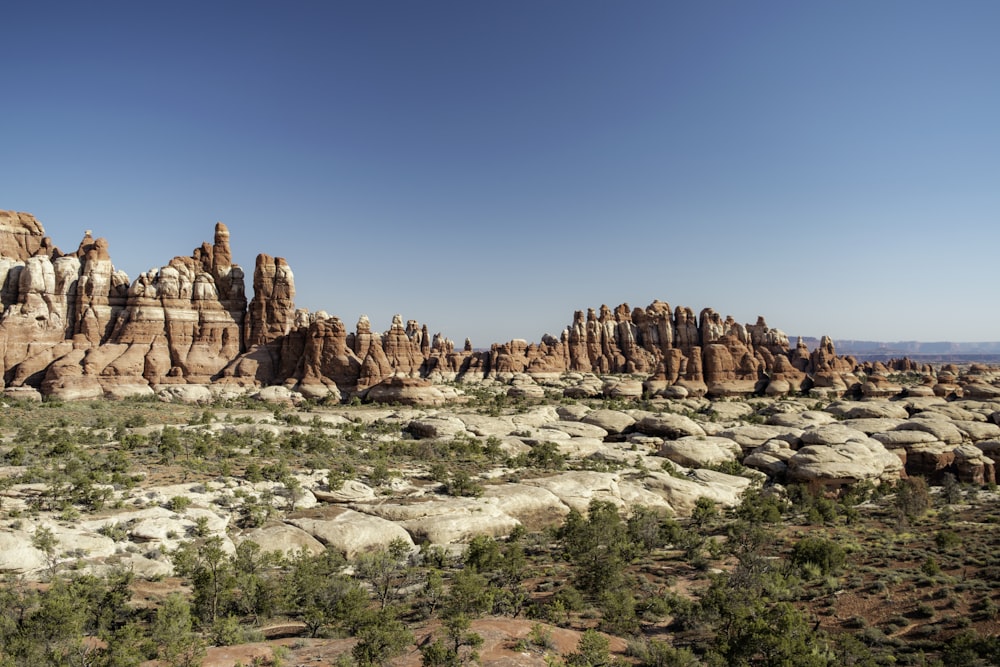 a large group of rocks in the middle of a desert