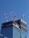 A high-rise building under construction with several red and white cranes at the top. The building is partially covered with black netting, suggesting ongoing construction work. The facade is composed of reflective glass windows, and the sky above is bright and clear.