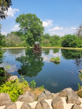 A serene ornamental pond with clear water, surrounded by lush greenery and decorative stones.