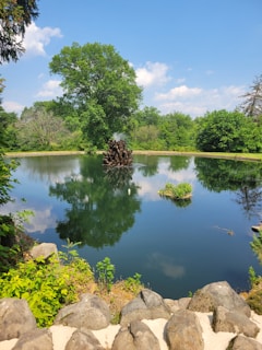 A serene ornamental pond with clear water, surrounded by lush greenery and decorative stones.