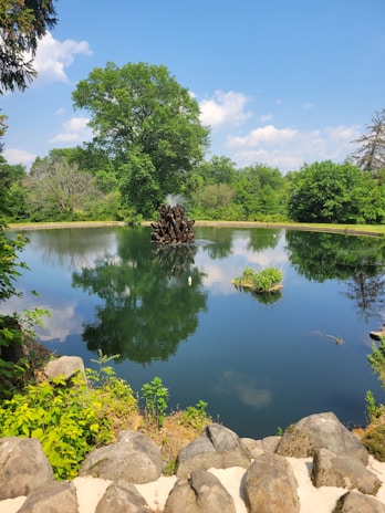 A serene ornamental pond with clear water, surrounded by lush greenery and decorative stones.